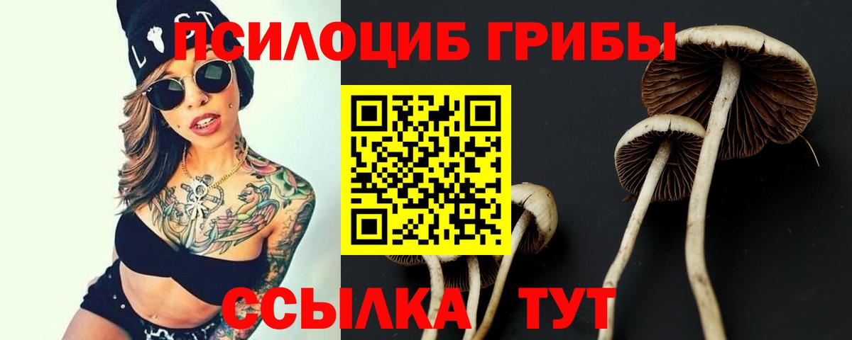 Псилоцибиновые грибы ЛСД Рязань